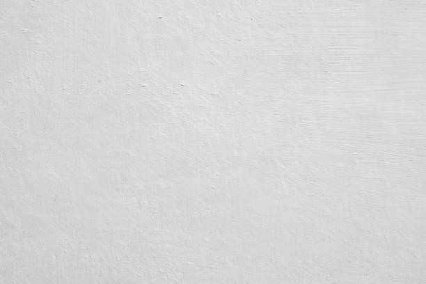 Professional Mold Removal in Merion Station, PA